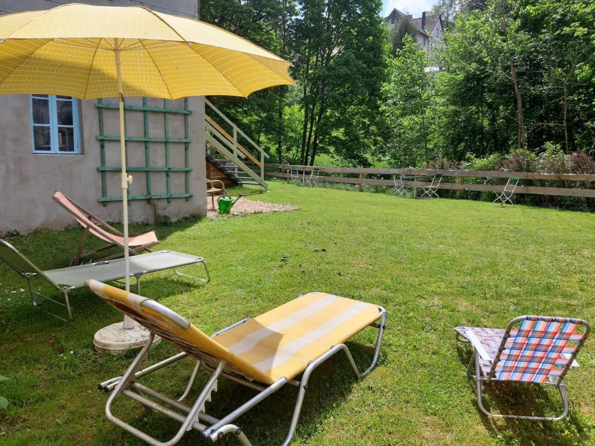 Das Okerhaus Vegetarische B&B Mit Halbpension Altenau  Dış mekan fotoğraf