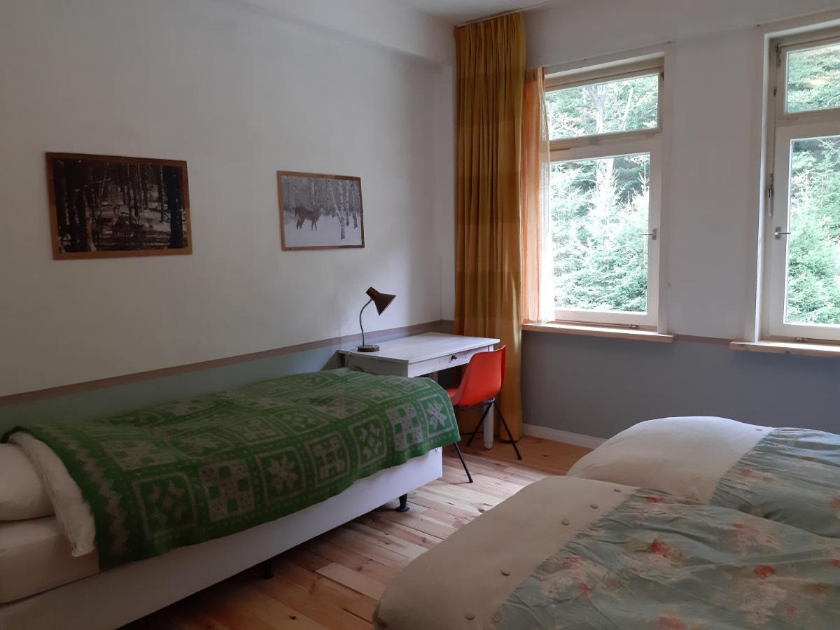 Das Okerhaus Vegetarische B&B Mit Halbpension Altenau  Dış mekan fotoğraf